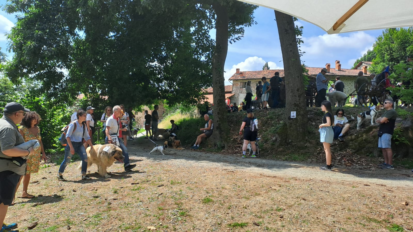 strabau evento 2026
